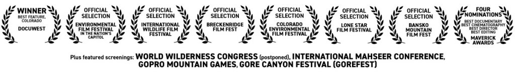 8 festival selections